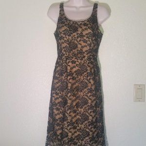 Donna Ricco New York Petite Lace Dress